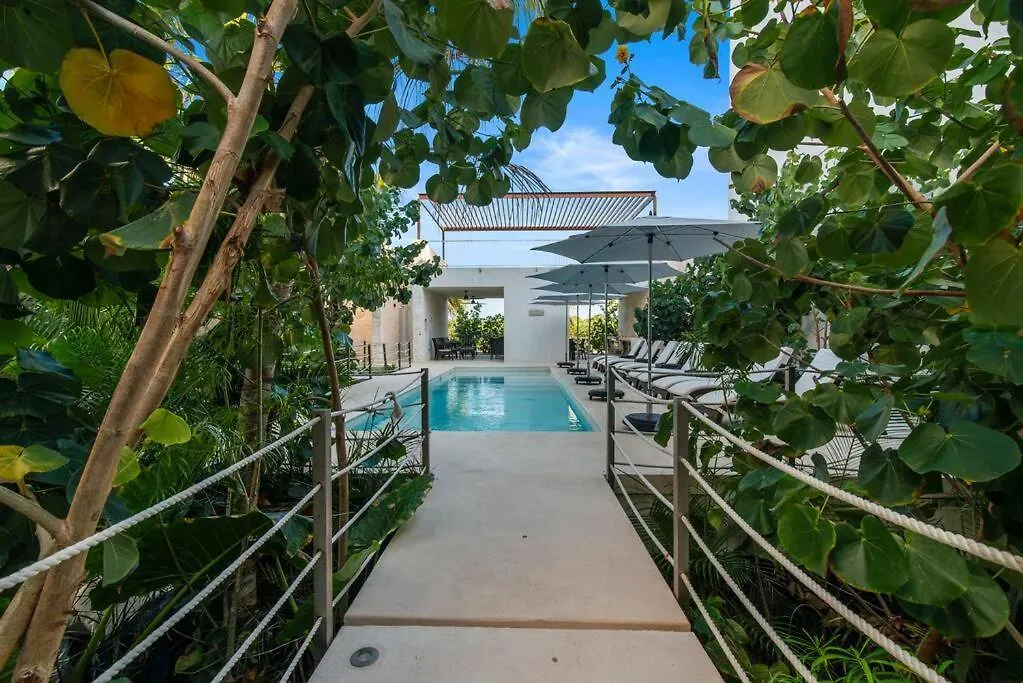 Oceanfront Paradise In Akumal Beach Access Mexico